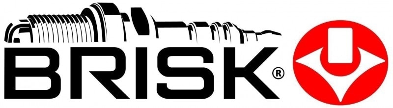 brisk dr10s